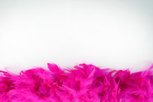 Natural Pink Feathers. Composition