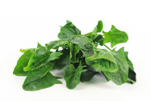 Fresh Spinach, High Protein And Amino Acids
