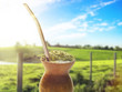 Chimarrão, traditional mate hot tea. Drink of South of the Brazil. Also knowed like mate. On sunny farm landscape bokeh background