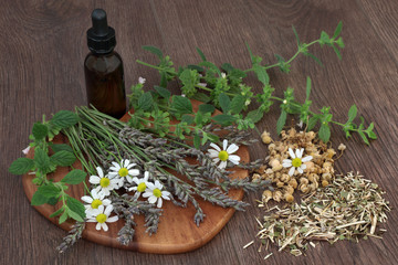 Wall Mural - Calming Herb Selection. Calming and sleeping herb selection of chamomile, lavender, lemon balm and skullcap used in natural herbal medicine with essential oil bottle on oak background.