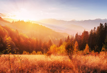 Mountain Range In The Carpathian Mountains In The Autumn Season.