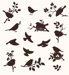 Vector set of spring bird and twig silhouettes, flying birds and on the nest. 