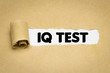 © magele-picture - IQ Test