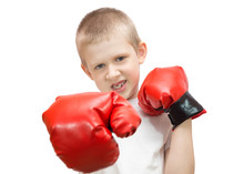 Boy In Boxing Gloves On A White Background