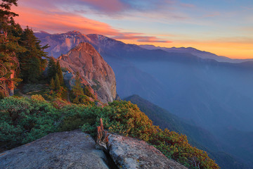 quiet morning in sequoia kings canyon with negative space