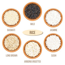 Different Types Of Rice In Bowls. Basmati, Wild, Jasmine, Long Brown, Arborio, Sushi