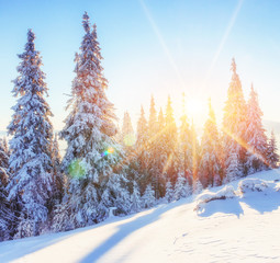 Mysterious winter landscape majestic mountains in  sunset.