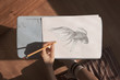 above view of a a pencil sketch of a fish being drawn