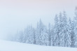 © standret - Dense fog in the mountains. Dramatic scene. Magical winter snow