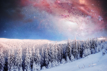 Wall Mural - starry sky in winter snowy night. fantastic milky way in the New