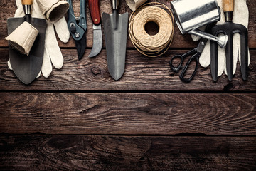 gardening tools on dark wooden background with space for text top view