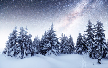 Wall Mural - chalets in the mountains at night under the stars. Courtesy of NASA. Magic event in frosty day. In anticipation  the holiday