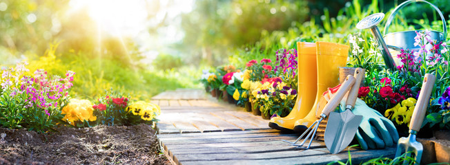 gardening - set of tools for gardener and flowerpots in sunny garden
