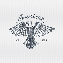 Vintage Old Logo Or Badge, Label Engraved And Old Hand Drawn Style With Wild Bald Eagle