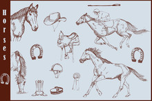 Set Of Horses And Horse Riding Equipment