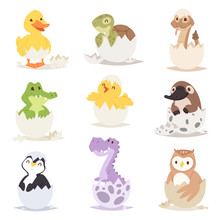 Cute New Born Animals In Eggs Easter Farm Holiday Creature Little Life And Young Shell Small Pet Nature Birthday Adorable Wildlife Poultry Tiny Character Vector Illustration.