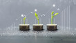 trees growing on coins, business with csr practice, Save and growing finance