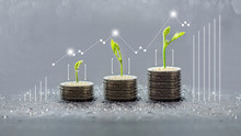 Trees Growing On Coins, Business With Csr Practice, Save And Growing Finance