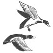 Set of wild ducks icons isolated on white background. Design elements for logo, label, emblem, sign, brand mark.