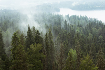 Obraz na płótnie góra las finlandia