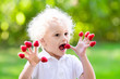 © famveldman - Child picking and eating raspberry in summer
