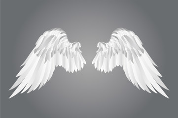 Wings. Vector illustration on grey background.