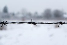 Barbed Wire Covered By Snow During Winter. Slovakia