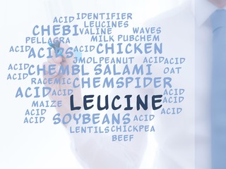 Wall Mural - Leucine