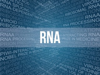 Poster - RNA