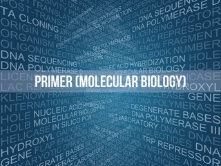 Wall Mural - Primer (molecular biology)