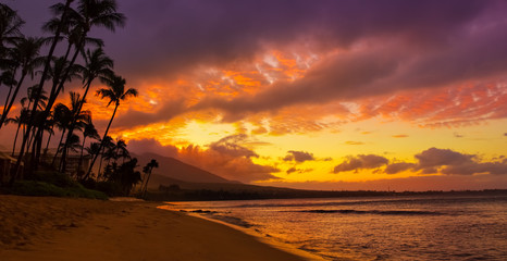 Wall Mural - hawaiian sunset