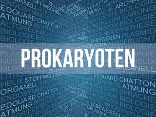 Canvas Print - Prokaryoten