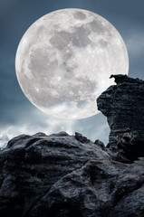 Wall Mural - Super moon or big moon. Sky background with large full moon behind boulder.