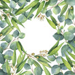 Watercolor square wreath with green eucalyptus leaves and branches.