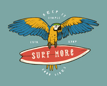 Surf More - Vintage Colorful Parrot Tropical Label Print