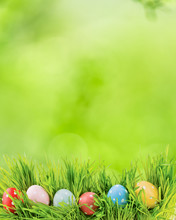 Row Of Easter Eggs In Fresh Green Grass