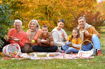 Poster - big happy family on picnic 