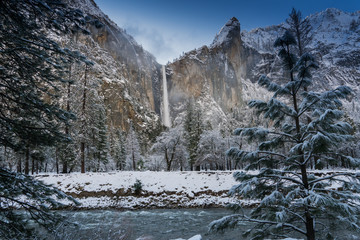 Wall Mural - Bridaveil Falls after a snowstorm in Yosemite National Park from Northside drive