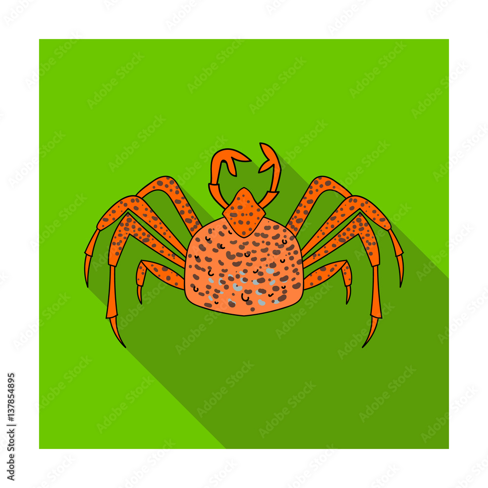 King crab icon in flat style isolated on white background. Sea animals ...