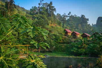 Wall Mural - Tropical resort in Laos