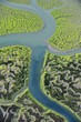 © Wonders of Europe - Aerial view of marshes with Seaweed exposed at low tide, Bahía de Cádiz Natural Park, Cádiz, Andalusia, Spain, March 2008 WWE BOOK PLATE. Wild Wonders kids book.