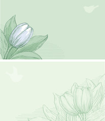 Wall Mural - Spring floral banners. Spring  tulips on green backgrounds with places for text at  color engraving style.
