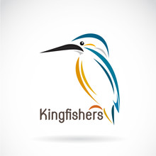 Vector Of A Kingfishers (Alcedo Atthis) On White Background. Bird Design.