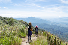 Traveler Trekking At Kew Mae Pan Nature Trail (Doi Inthanon National Park),Chiangmai,Thailand