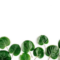 Poster - Green leaves pattern on white background. Flat lay, top view. Blog header