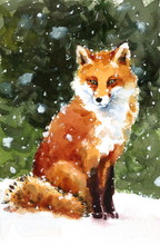 Watercolor Wild Animal Red Fox Sitting On The Snow Hand Drawn Portrait Illustration