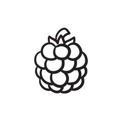 Wall Mural - Raspberry sketch icon.