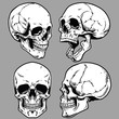 set of skull in hand drawing style