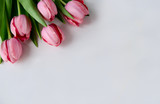 Fresh pink tulip bouquet in the upper left corner on white background with copy space isolated