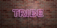 TRIBE - Fluorescent Neon Tube Sign On Brickwork - Front View - 3D Rendered Royalty Free Stock Picture. Can Be Used For Online Banner Ads And Direct Mailers..